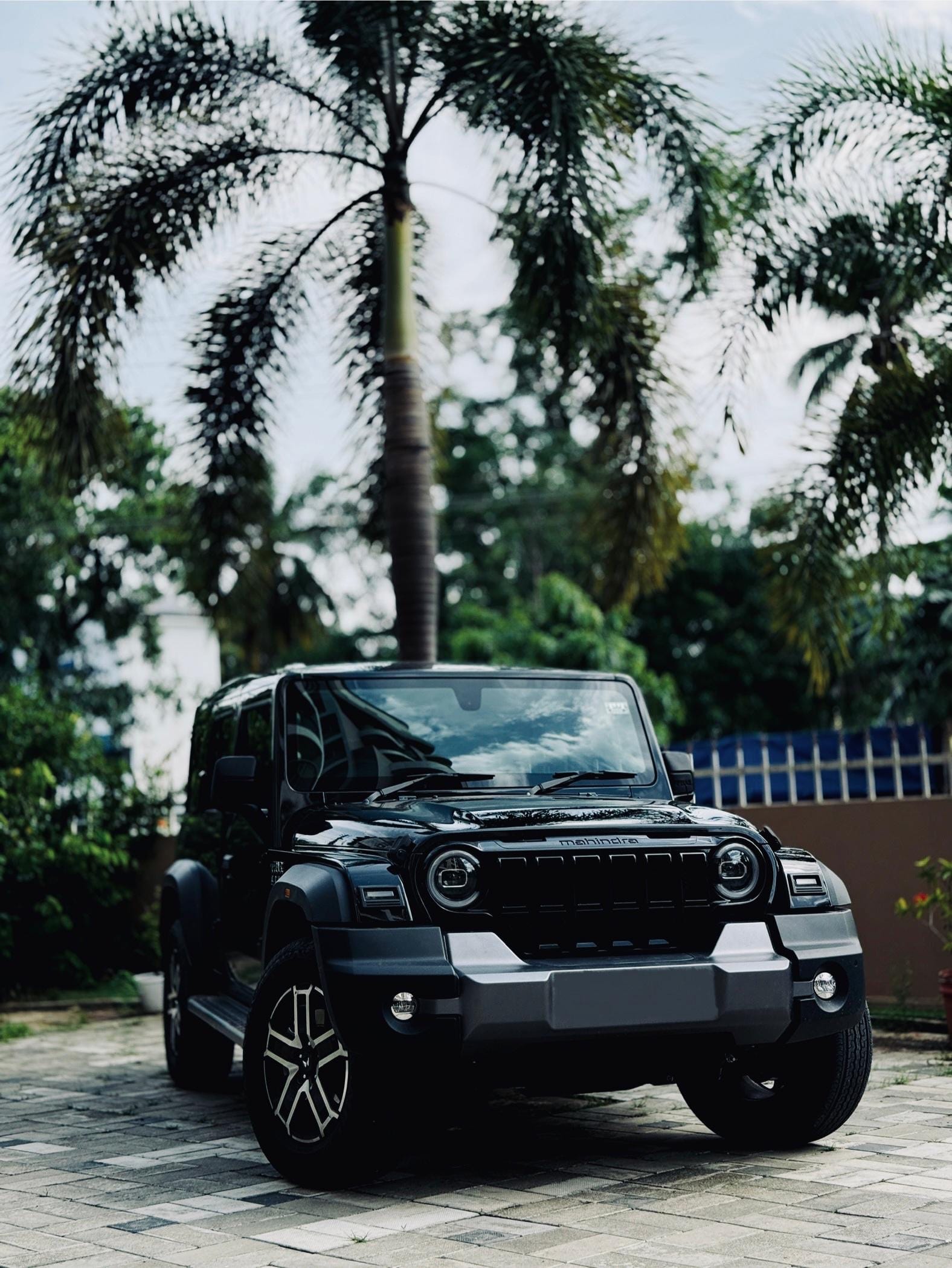Rent a car