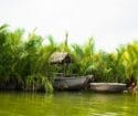 Bay Mau Coconut Forest