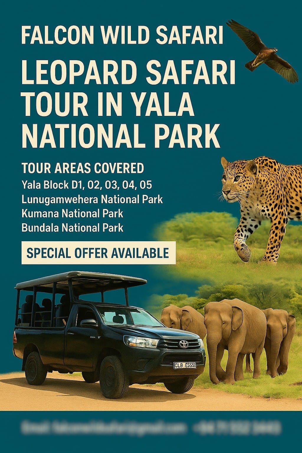 Leopard Safari Tour