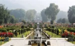 Mughal Gardens