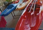 Miami Kayaking