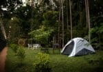 Swasth the Riviera Lovedale