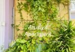 1BHK Apartment