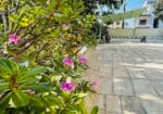 1BHK Apartment
