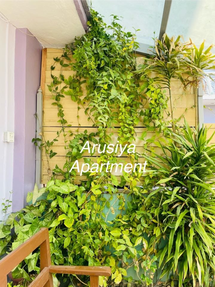 2 – Bedroom Apartment