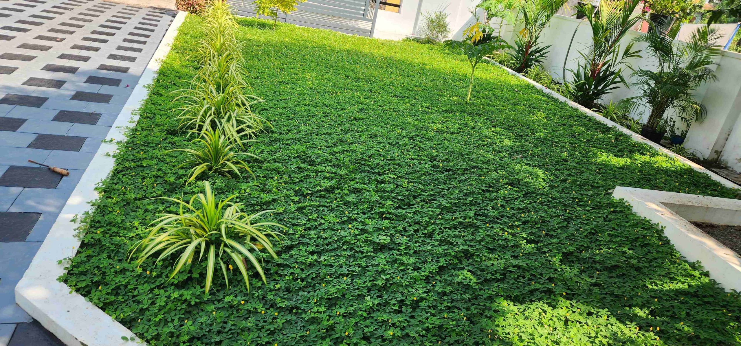Nambiaparambil Serviced Villa