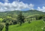 Laos Green Season