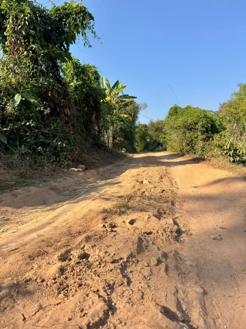 Off-Road Biking