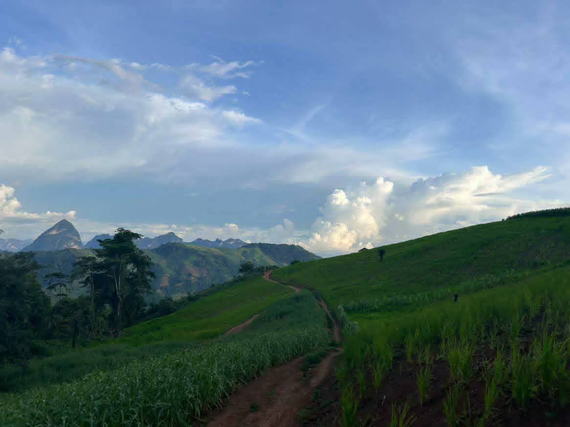 Hill Tribes Villages with Local Guide