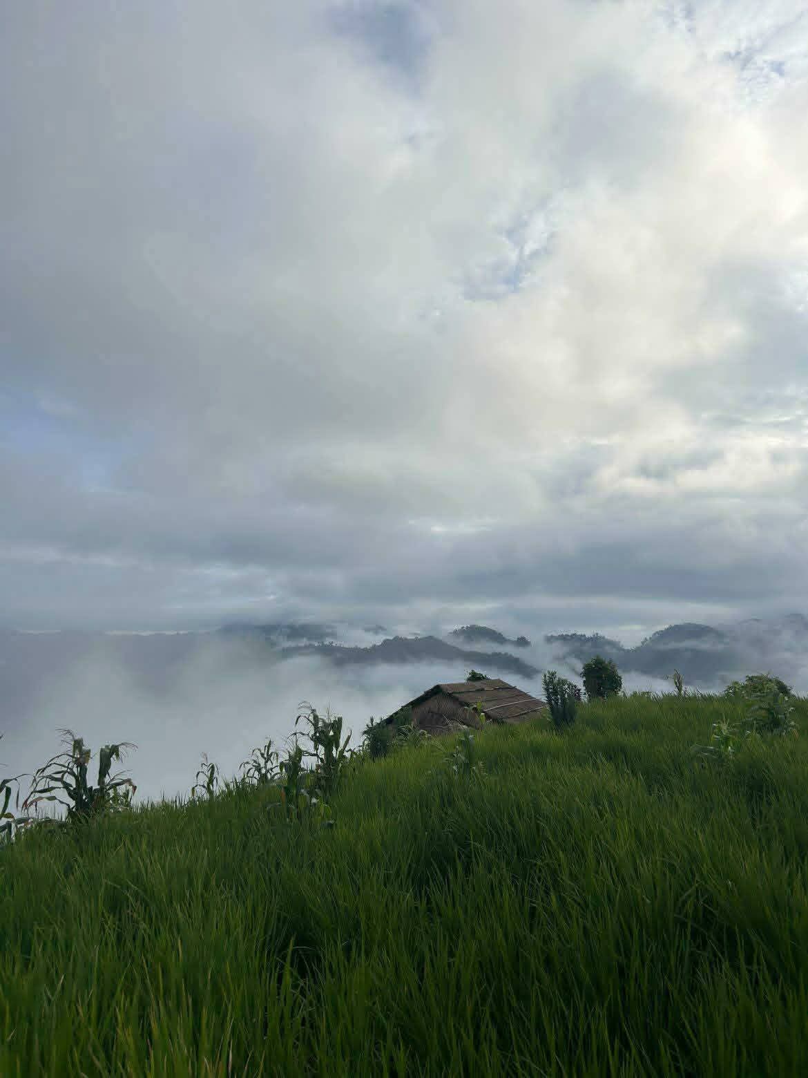 Laos Green Season