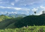 Hill Tribes Villages with Local Guide