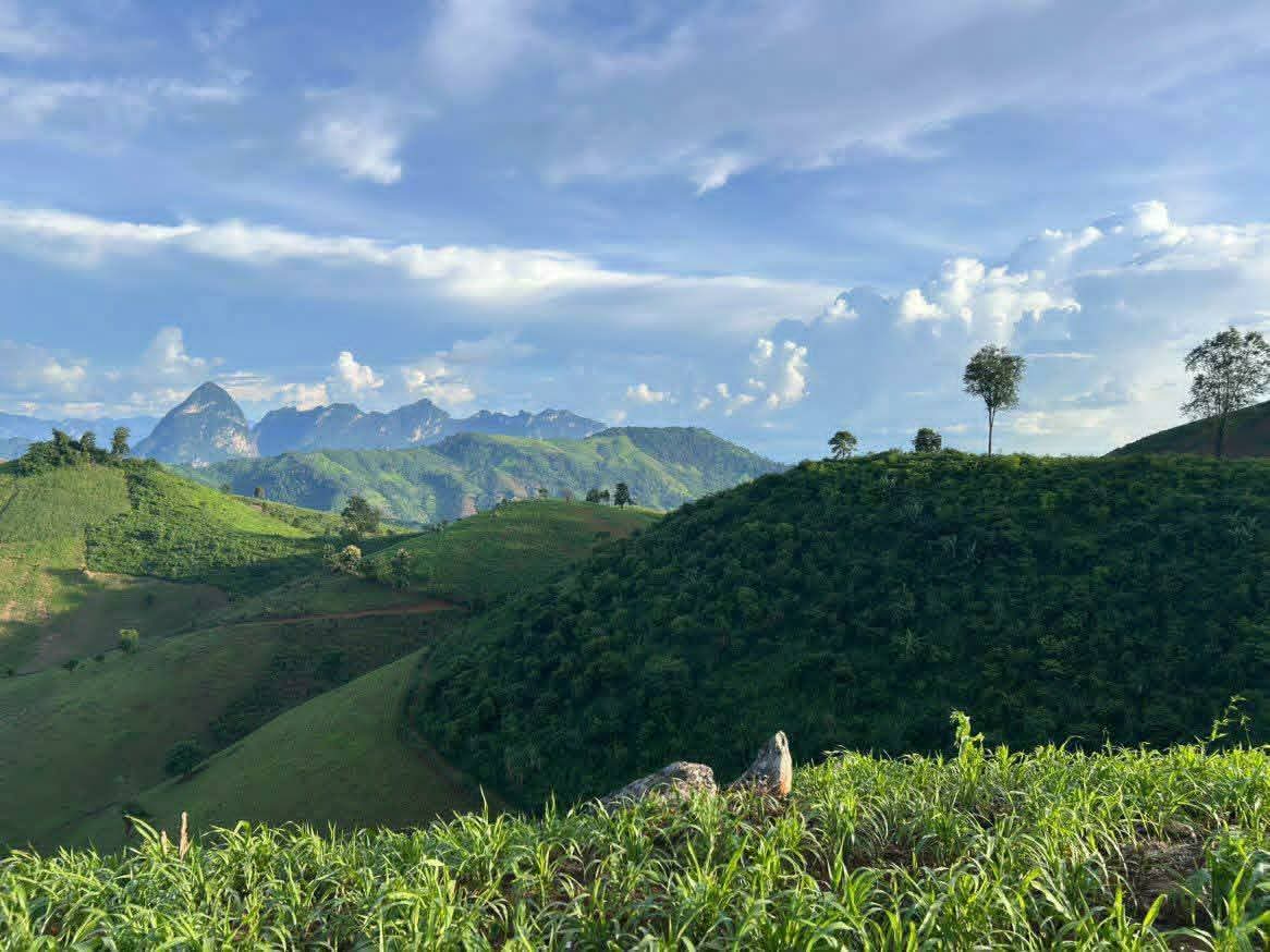 Hill Tribes Villages with Local Guide