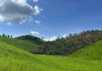 Hill Tribes Villages with Local Guide