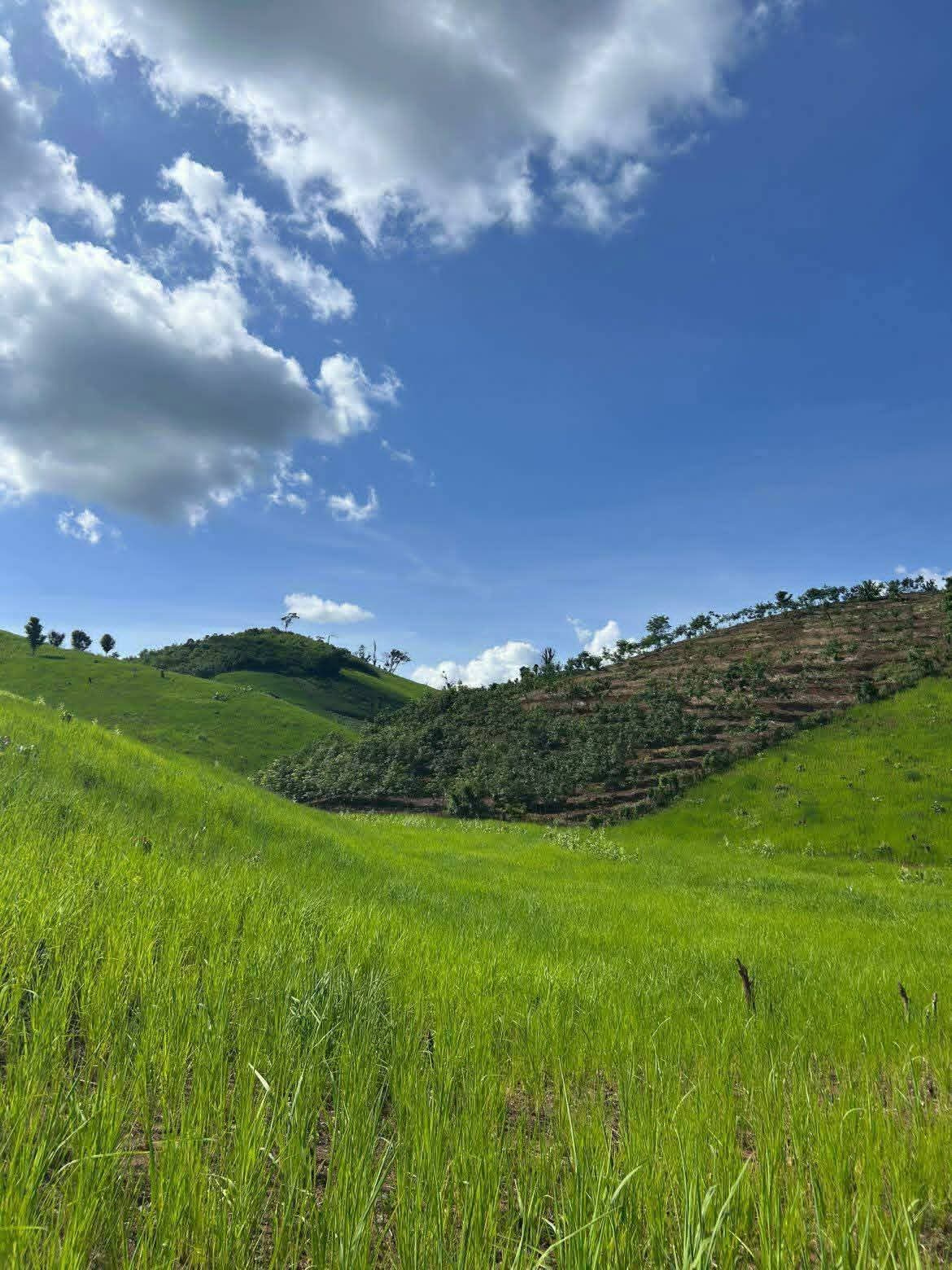Hill Tribes Villages with Local Guide