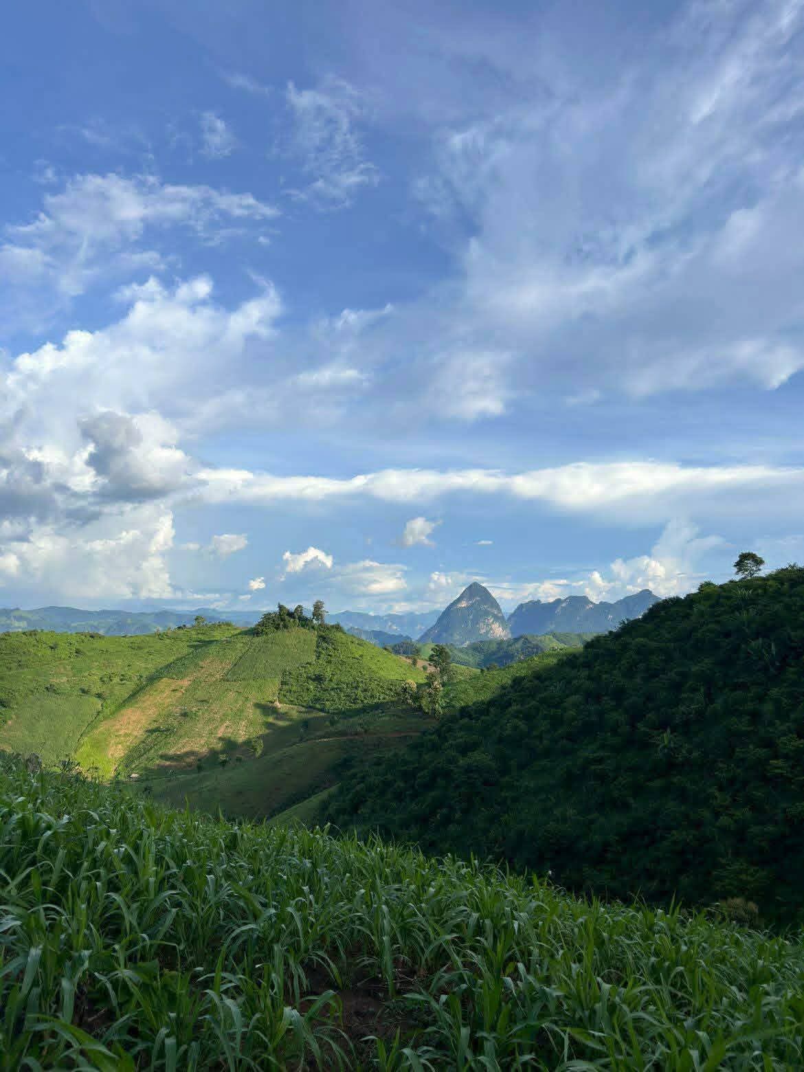 Hill Tribes Villages with Local Guide