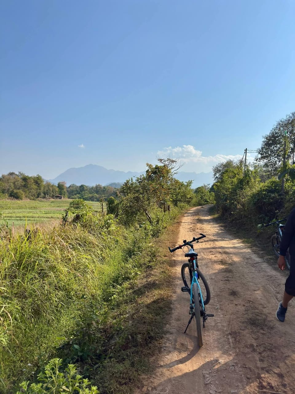 Off-Road Biking