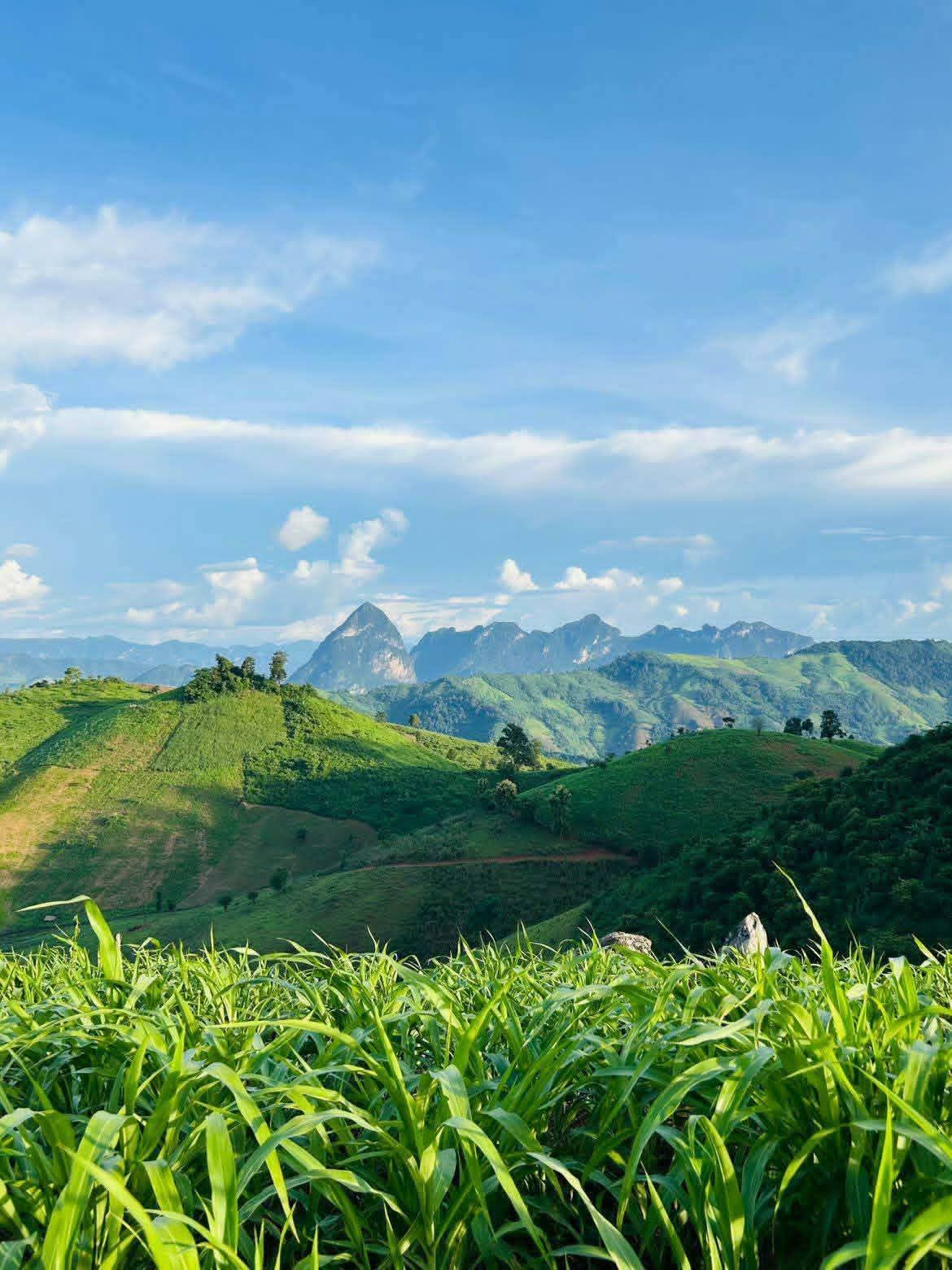 Hill Tribes Villages with Local Guide