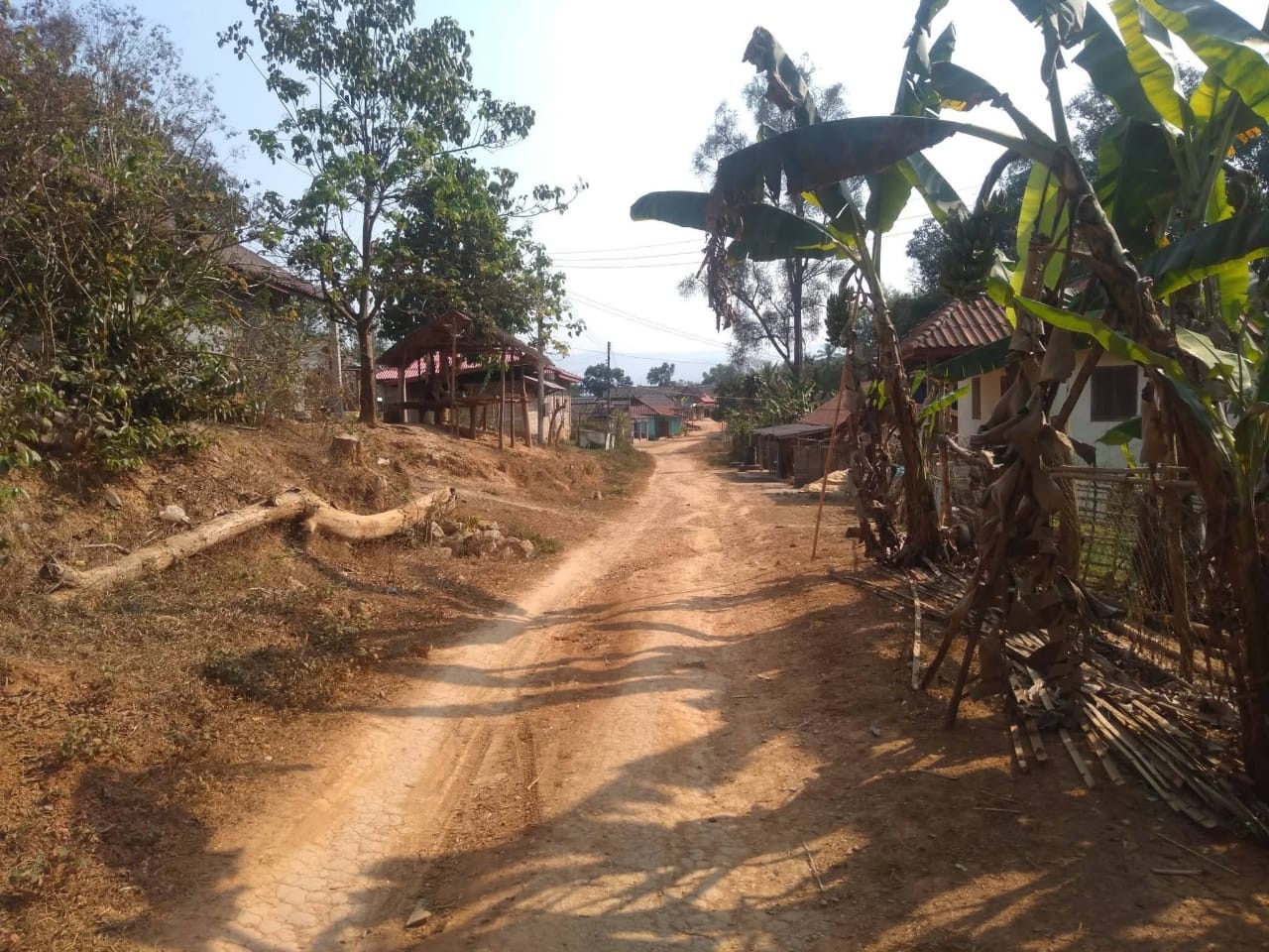 Off-Road Biking