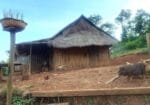 Village Trekking with Homestay