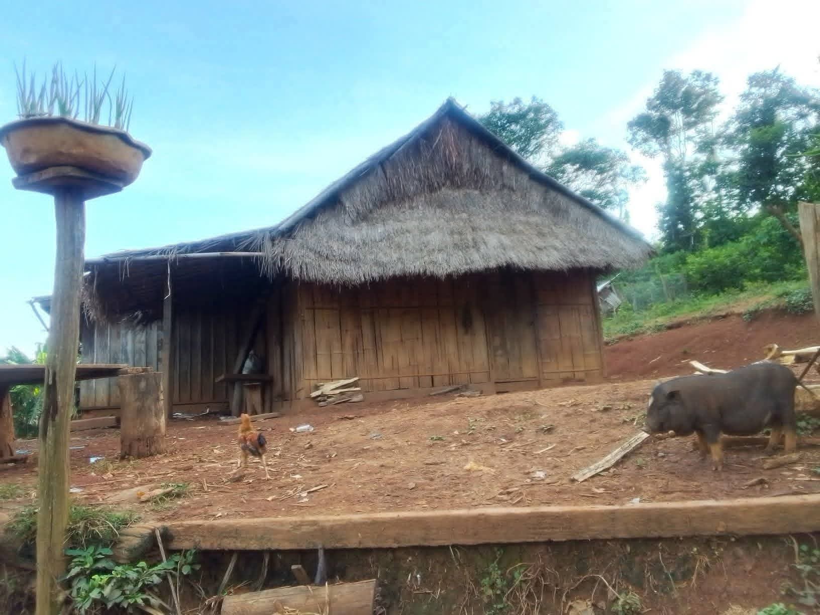 Village Trekking with Homestay