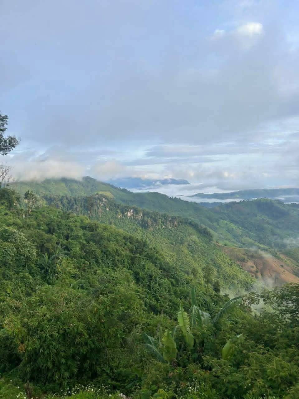 Laos Green Season