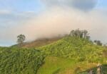 Laos Green Season