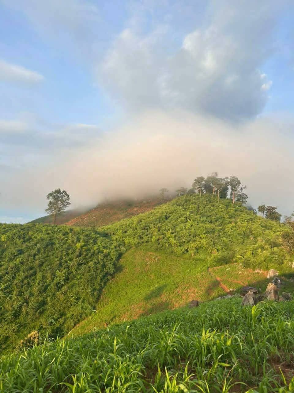 Laos Green Season
