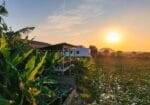 Pomelo Travel Outpost Hotel