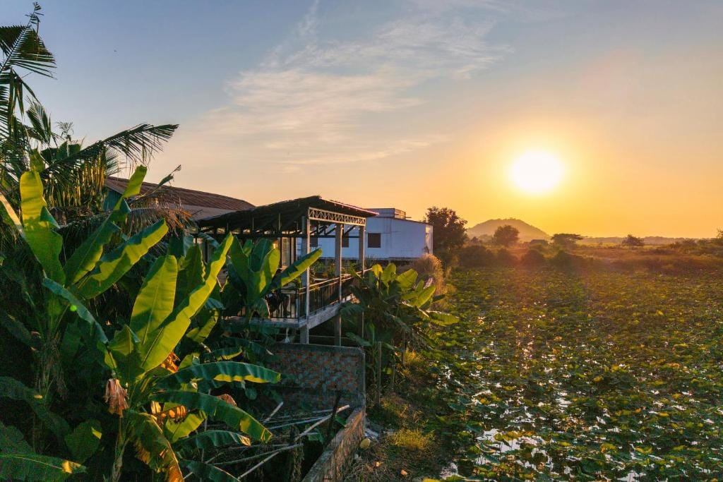 Pomelo Travel Outpost Hotel