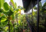 Pomelo Travel Outpost Hotel