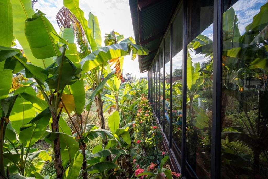 Pomelo Travel Outpost Hotel