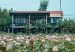 Pomelo Travel Outpost Hotel