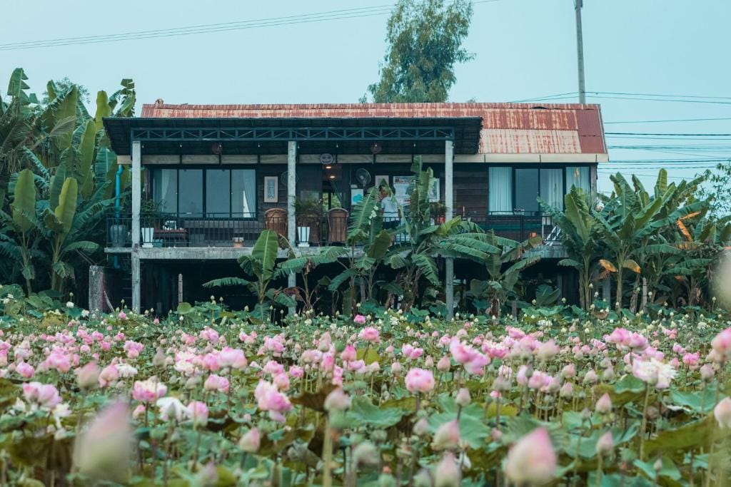 Pomelo Travel Outpost Hotel