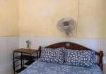 Aloe Vera Homestay