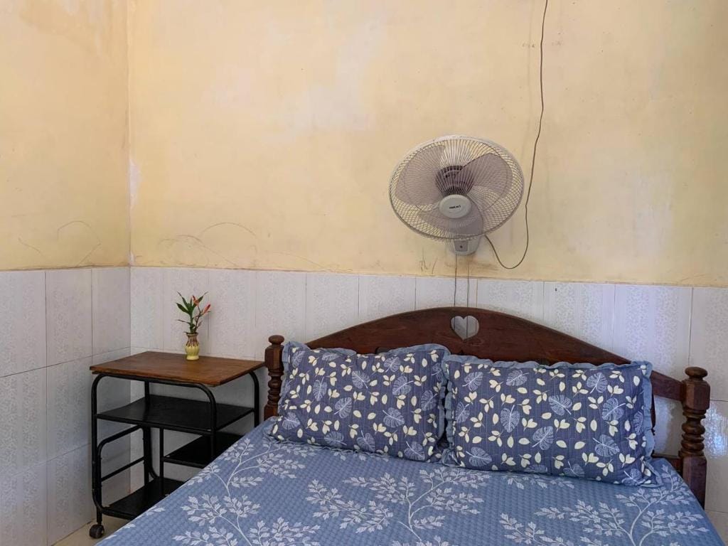 Aloe Vera Homestay