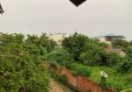 Aloe Vera Homestay