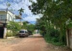 Aloe Vera Homestay