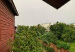 Aloe Vera Homestay