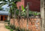 Aloe Vera Homestay