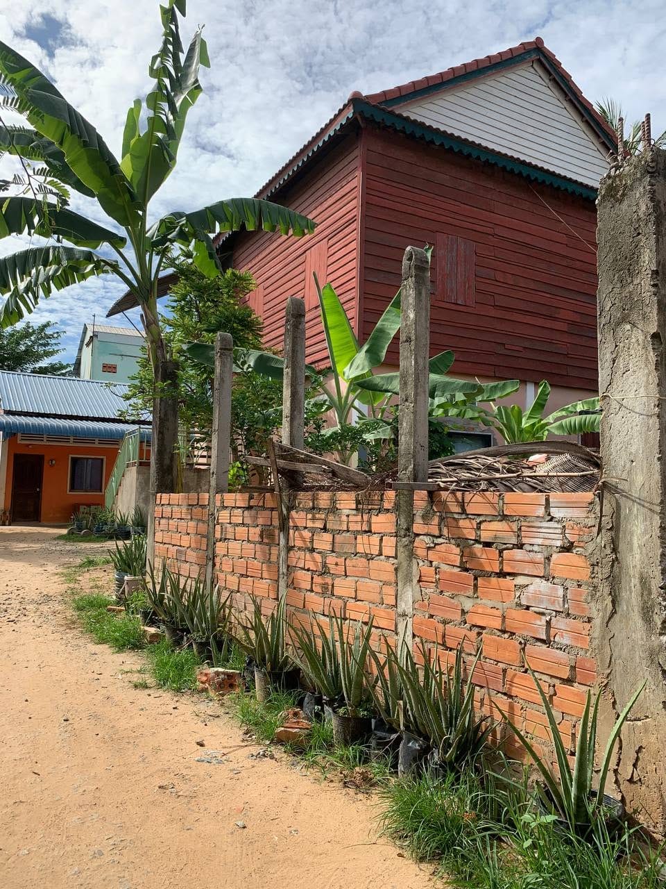 Aloe Vera Homestay