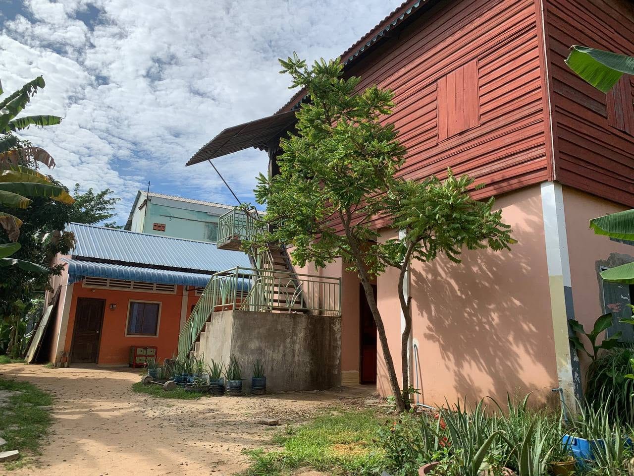 Aloe Vera Homestay