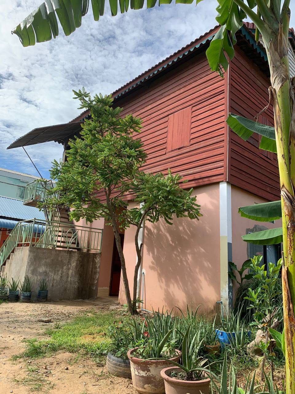 Aloe Vera Homestay