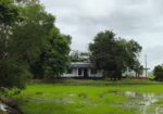 Peaceful Nature Homestay