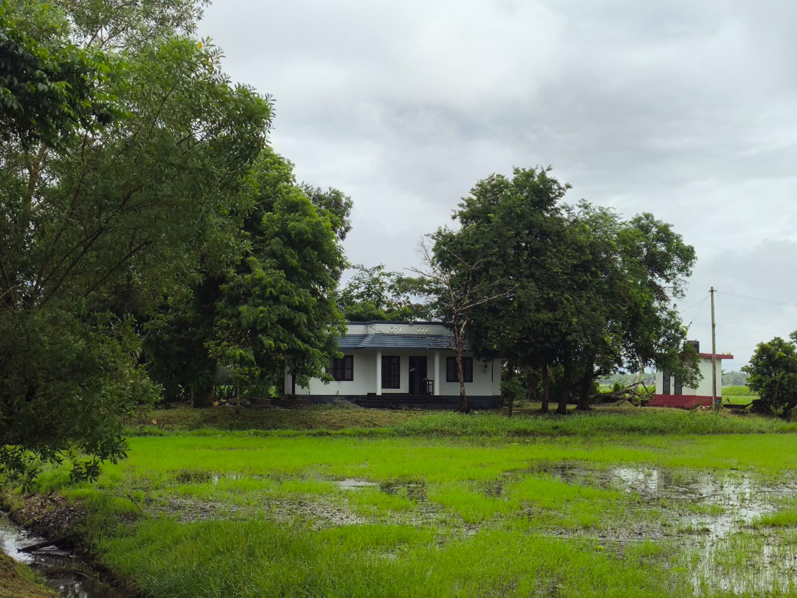 Peaceful Nature Homestay