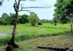 Peaceful Nature Homestay