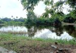 Peaceful Nature Homestay
