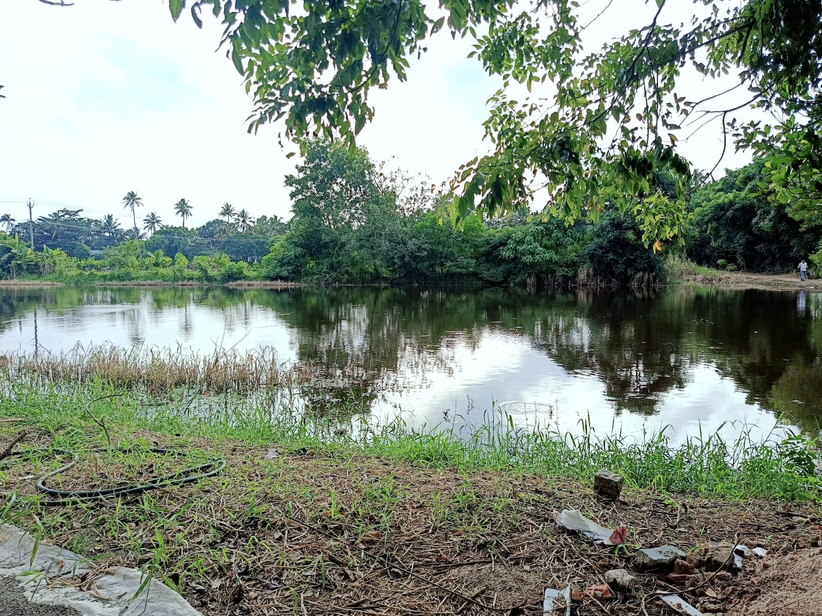 Peaceful Nature Homestay