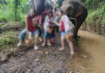 Best English Speaking Tour Guide