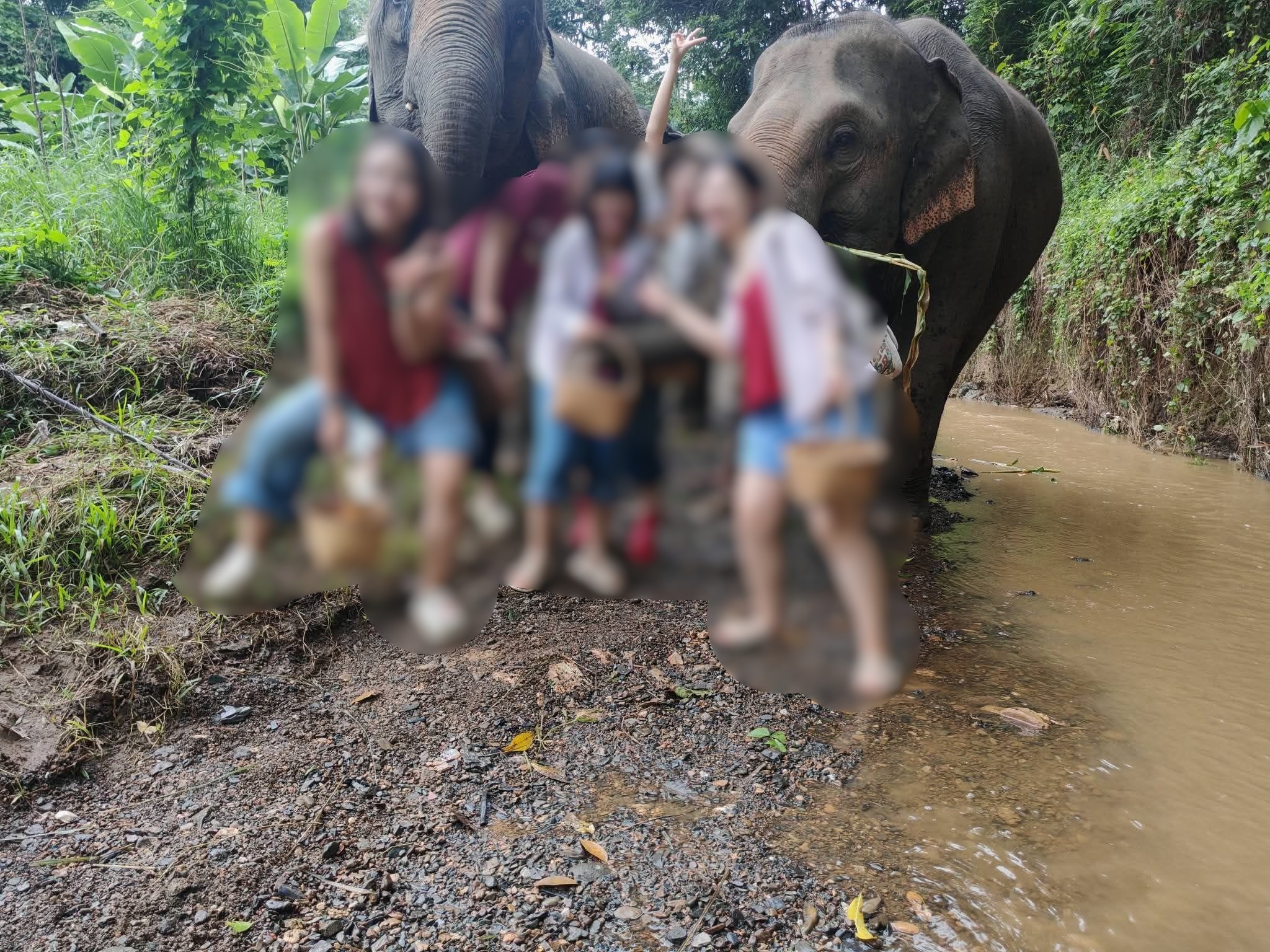 Best English Speaking Tour Guide
