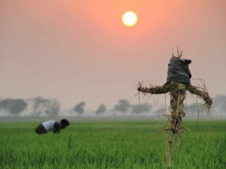 village_tour